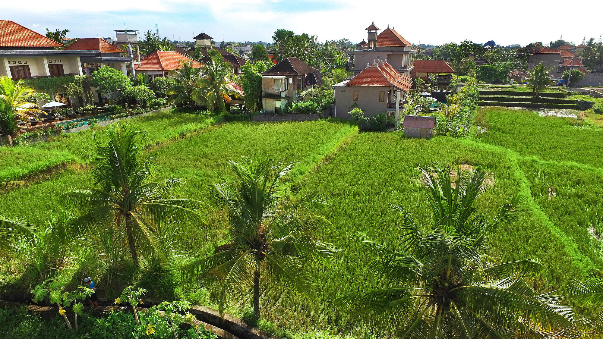 Bisma Cottages Ubud Εξωτερικό φωτογραφία