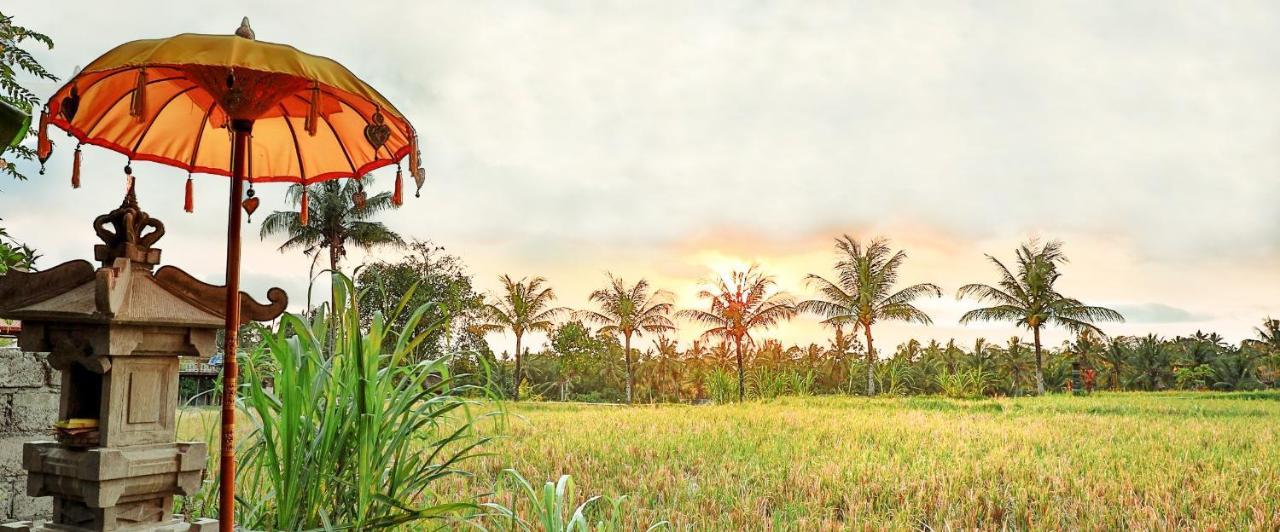 Bisma Cottages Ubud Εξωτερικό φωτογραφία